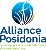 Alliance Posidonia Alliance Posidonia
